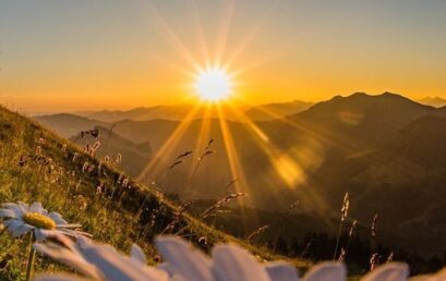 A New Day, A New Step