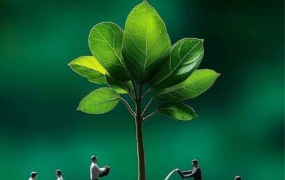 The Power Of Steady Progress