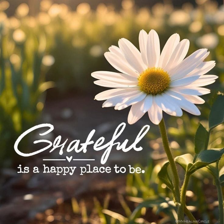 Start Where You Are – This Week Still Belongs to You 💫