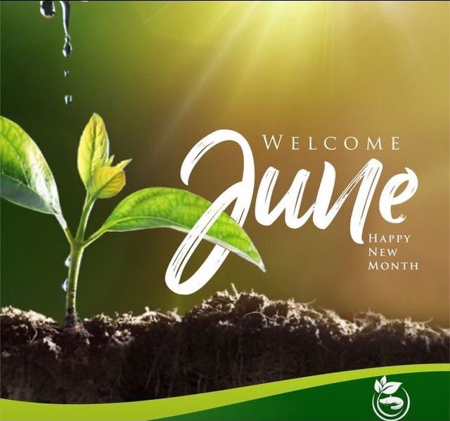 JUNE JUNE
